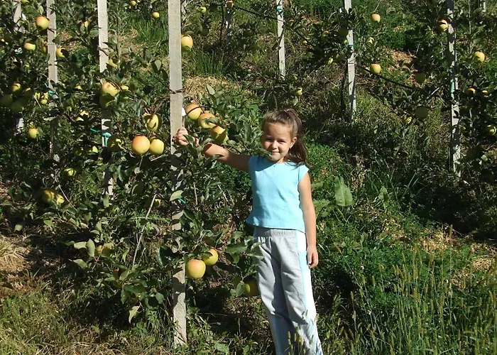 Agritur Le Pergole