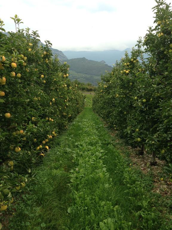 Agritur Le Pergole Hotel 3*