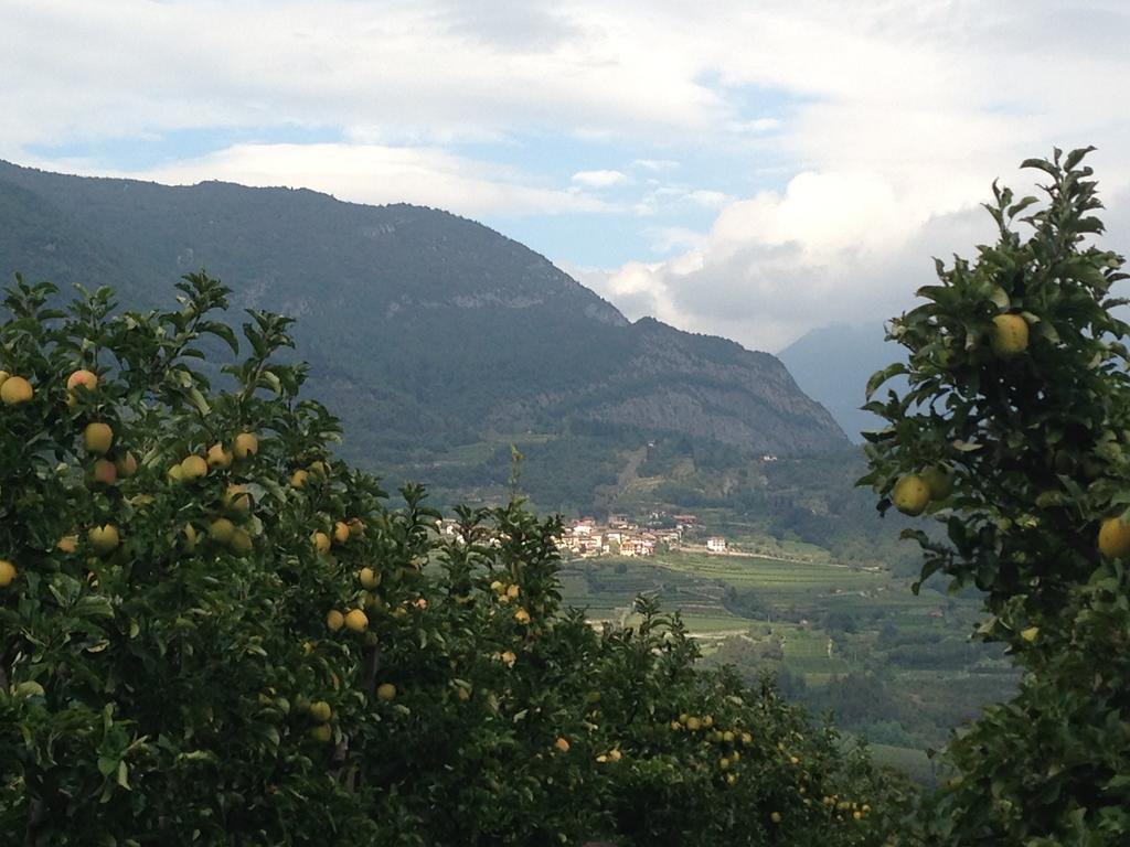 Agritur Le Pergole