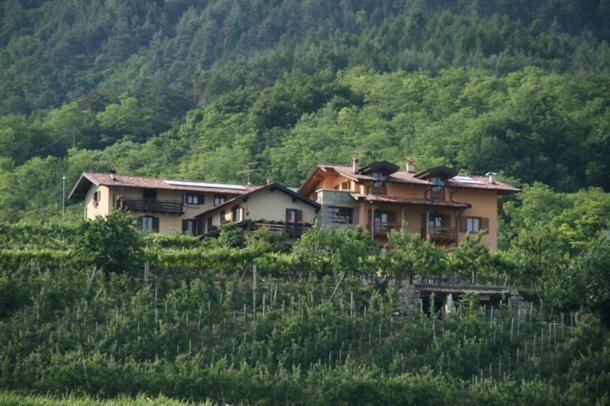 Agritur Le Pergole 3* Villa Lagarina
