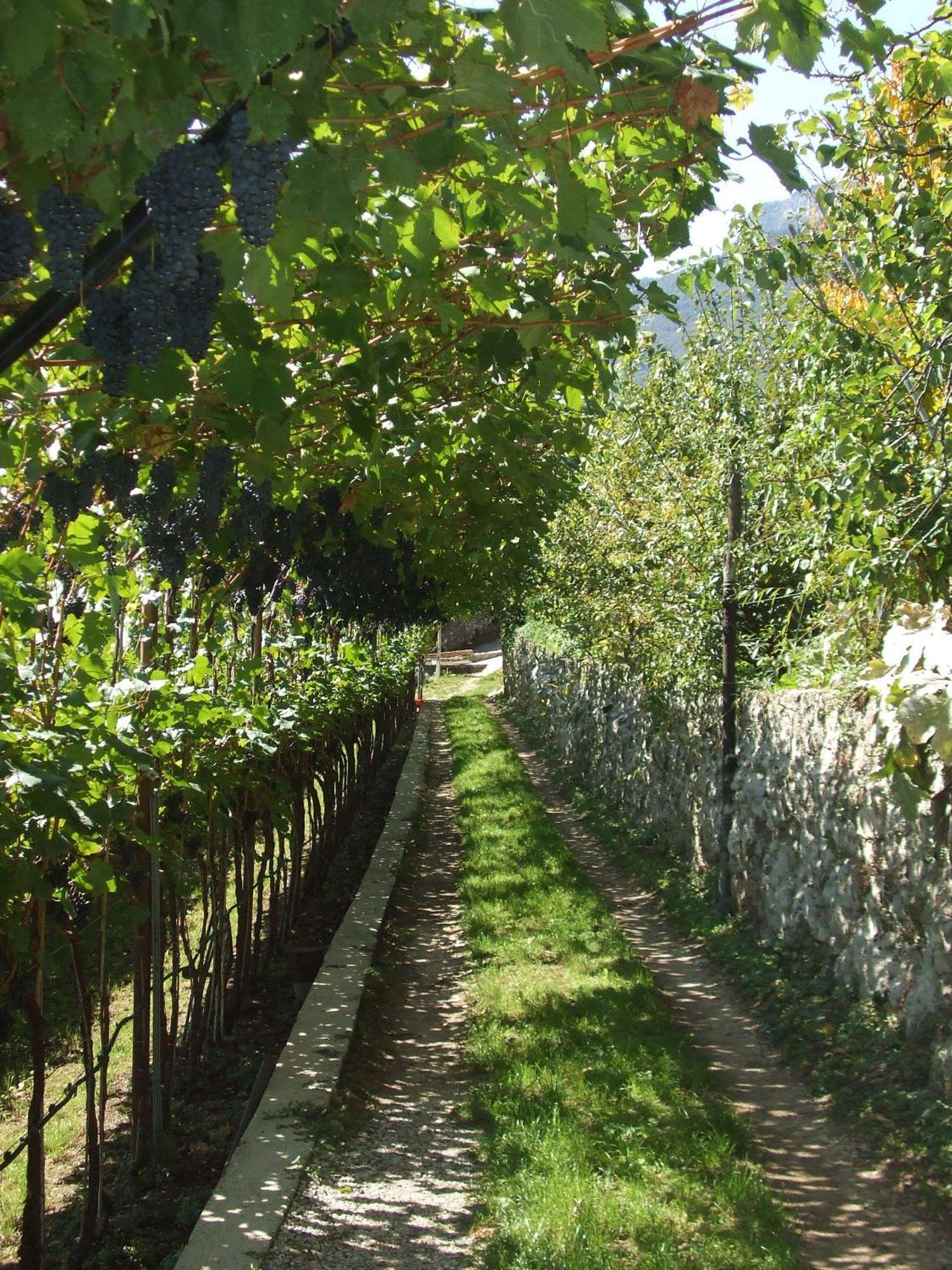 Agritur Le Pergole Villa Lagarina